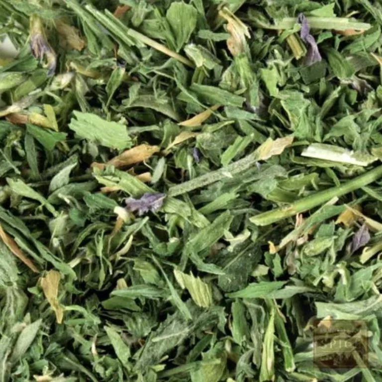 Alfalfa Leaf