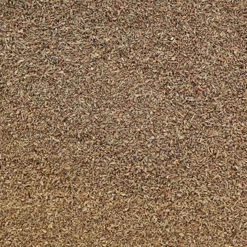 Anise Seed