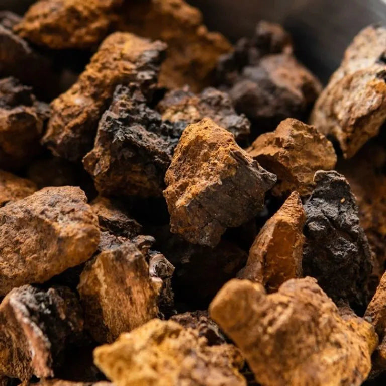Chaga Mushroom Chunks