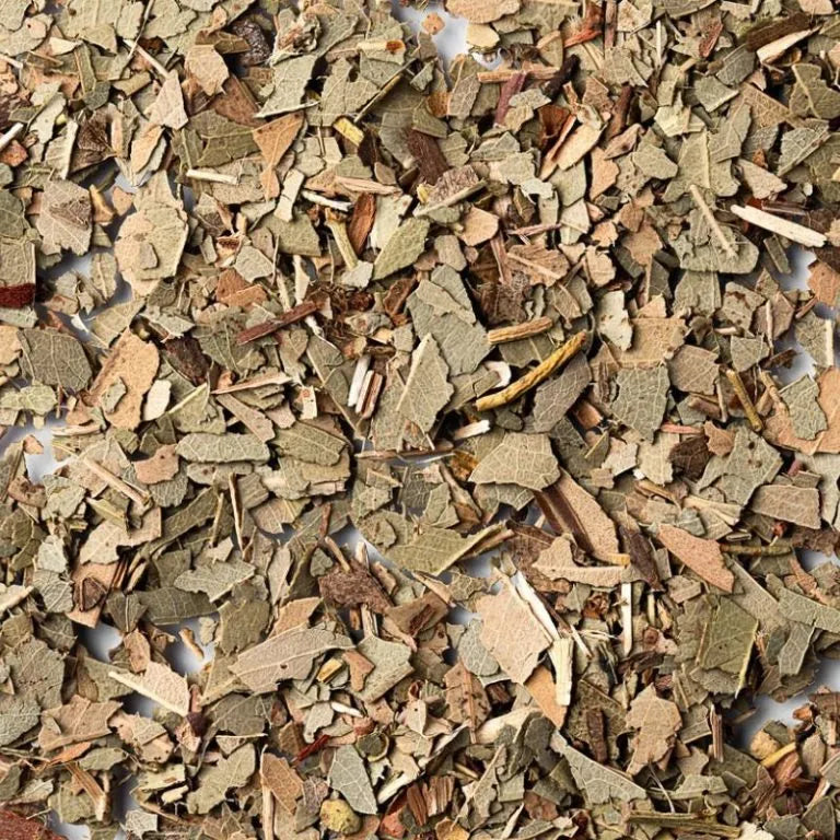 Eucalyptus Leaf