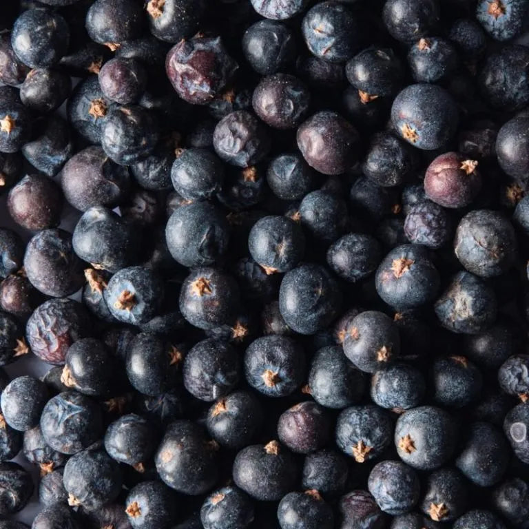 Juniper Berry