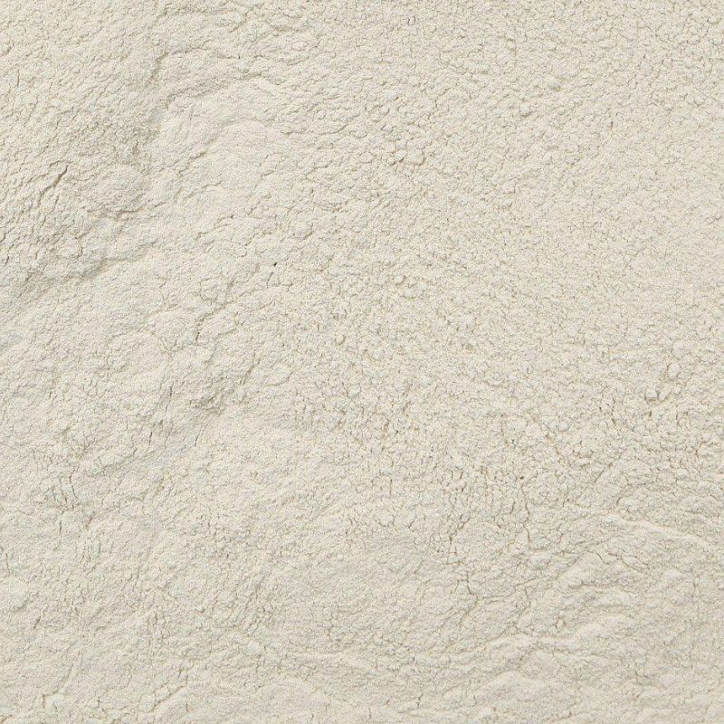 Turkey Tail Mushroom, 10:1 Extract Powder