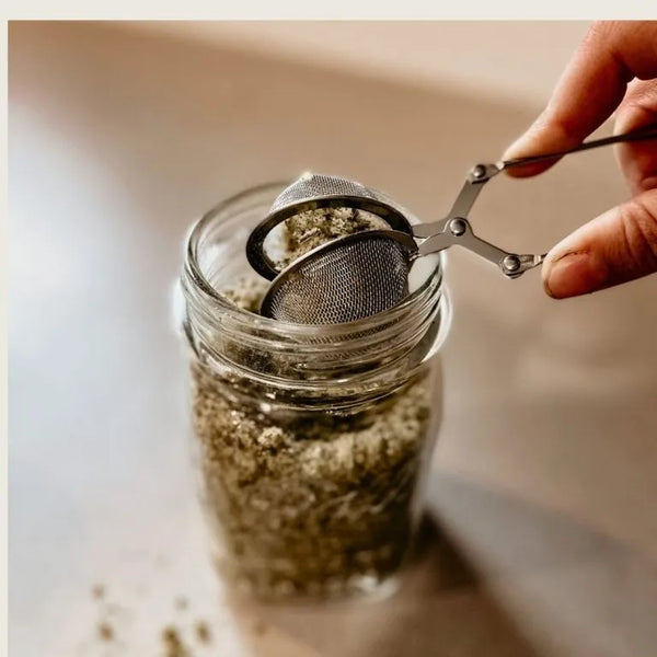 Herb Spotlight To Support & Boost Immune System: Soursop, The Antioxidant Wonder