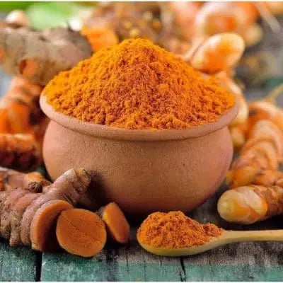 Herb Spotlight: Shatavari Natural Herbal Remedy For Women’s Hormonal Health