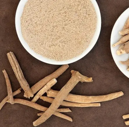 Herb Spotlight Ashwagandha for Managing Female Health & PCOS Symptoms