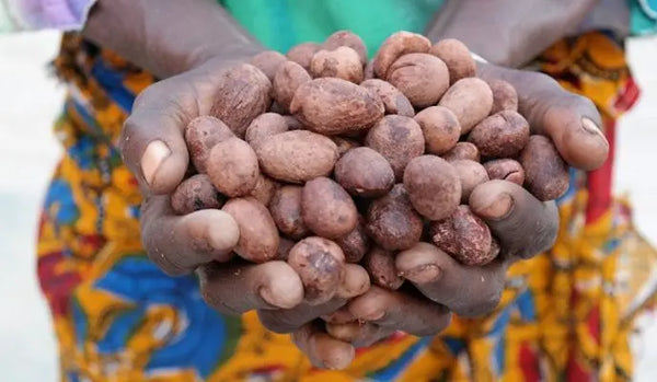 Your Guide to the Best Quality Raw African Shea Butter