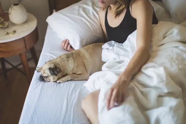 How to Increase Testosterone Levels Naturally in Women and Boost Your Energy and Libido