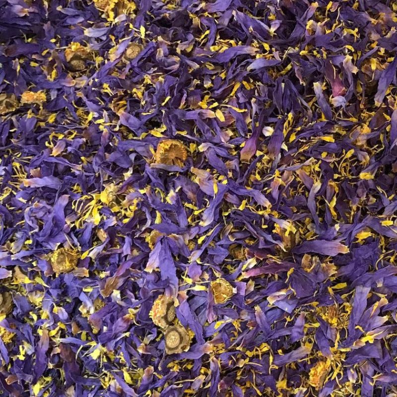 Blue Lotus, Cut & Sifted