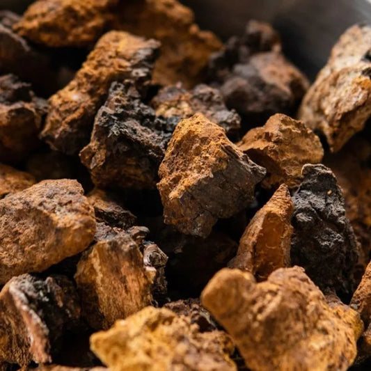 Chaga Mushroom Chunks