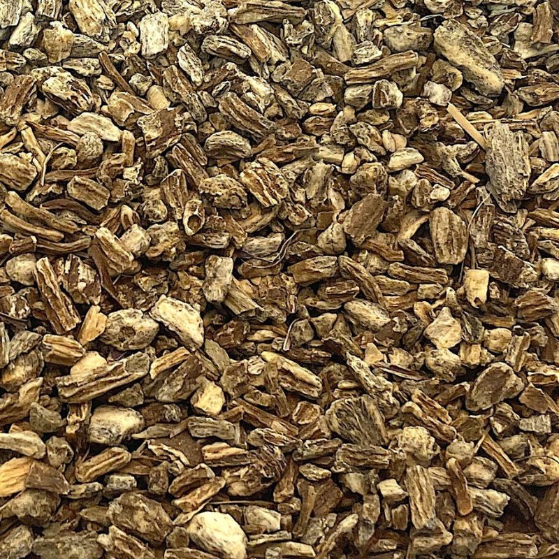 Echinacea Root