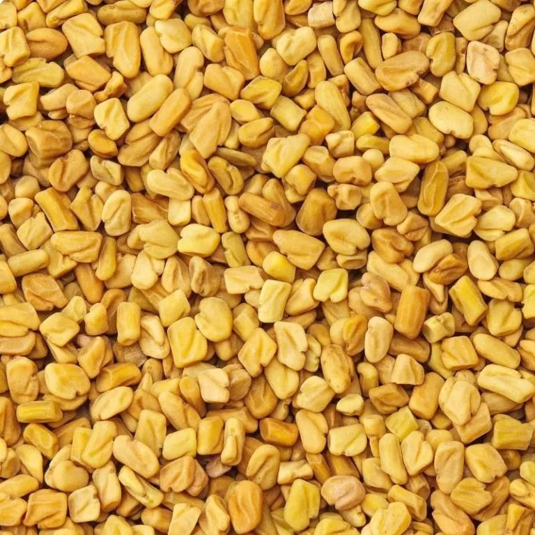 Fenugreek Seeds