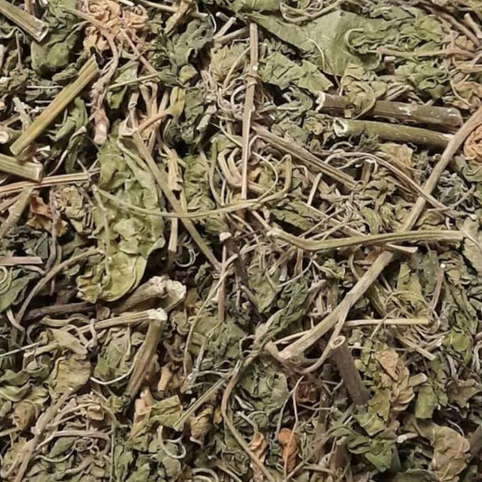 Jamaican Dog Blood Bush (whole w/ stem)