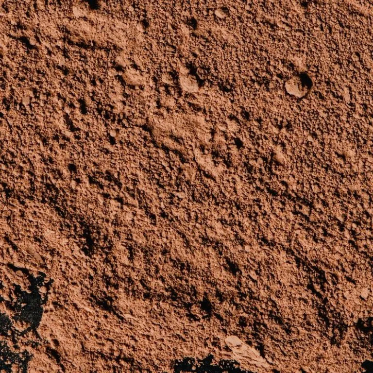 Lion’s Mane Mushroom Powder