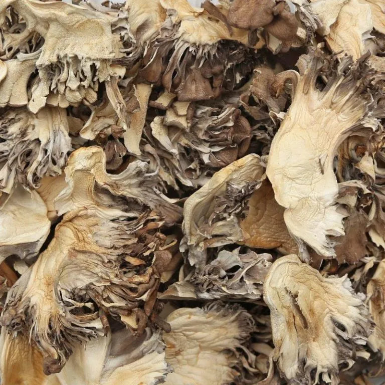 Maitake Mushroom