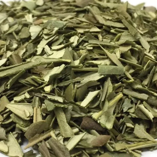 Olive Leaf