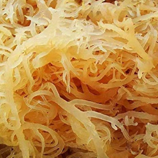 Sea Moss Raw