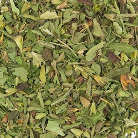 Stevia Leaf