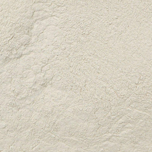 Turkey Tail Mushroom, 10:1 Extract Powder