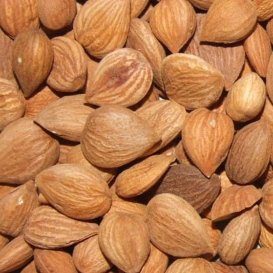 Apricot Bitter Kernels